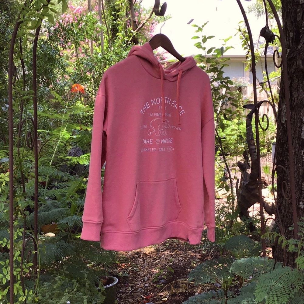 The North Face Pull Over Hoodie Sz Large